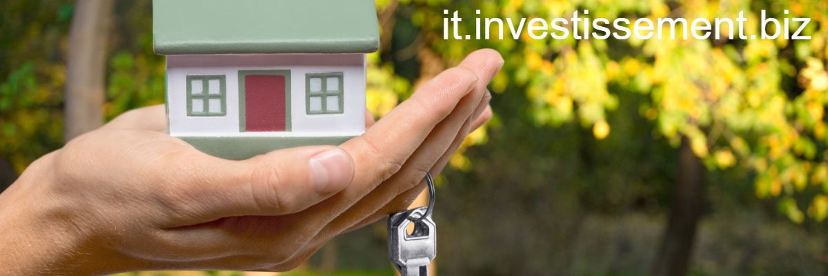 it.investissement.biz